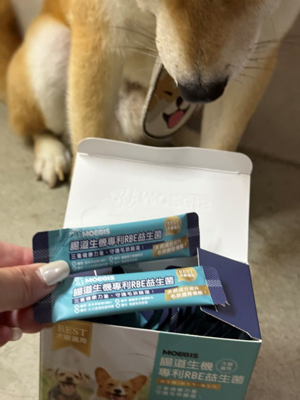 女人知己試用大隊,口碑行銷,部落客行銷,Moegis萌吉 腸道生機專利RBE益生菌,寵物益生菌,專利RBE益生元,專利蔬果酵素,小分子胜肽,藍藻粉,維持免疫力,幫助維持消化道機能,維持正常食慾,改變細菌叢生態,腸胃保健,犬貓適用